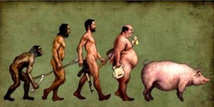 evolucion de darvin 3
